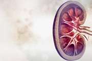 Household fuel use and kidney disease-related mortality: the Golestan Cohort Study