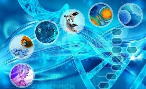 ارزیابی عملکرد مرکز تحقیقات بیماری‌های گوارش برگزار شد